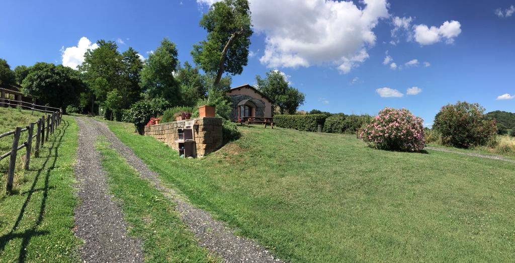 Il Castoro Di Martignano Villa Anguillara Sabazia Exteriör bild
