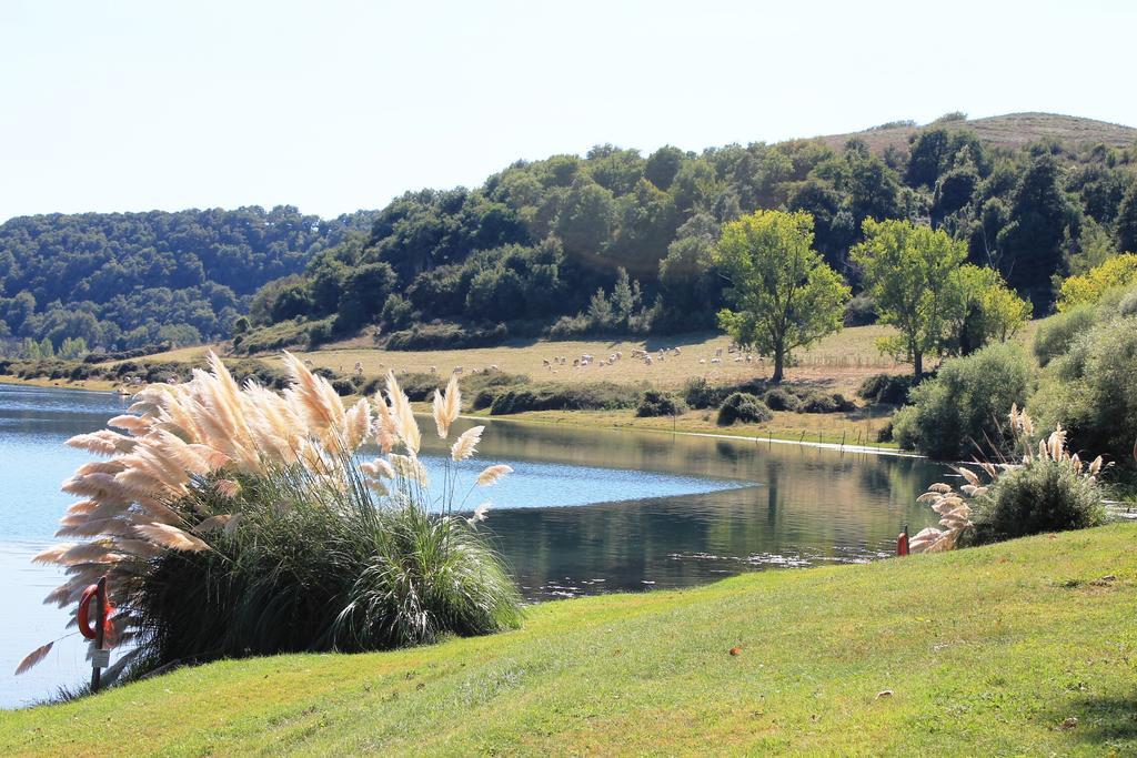Il Castoro Di Martignano Villa Anguillara Sabazia Exteriör bild