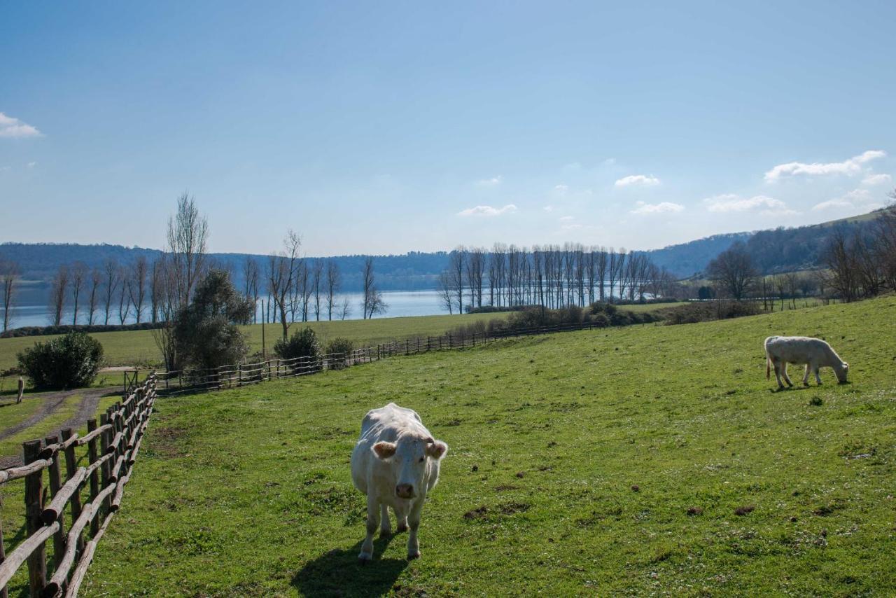 Il Castoro Di Martignano Villa Anguillara Sabazia Exteriör bild