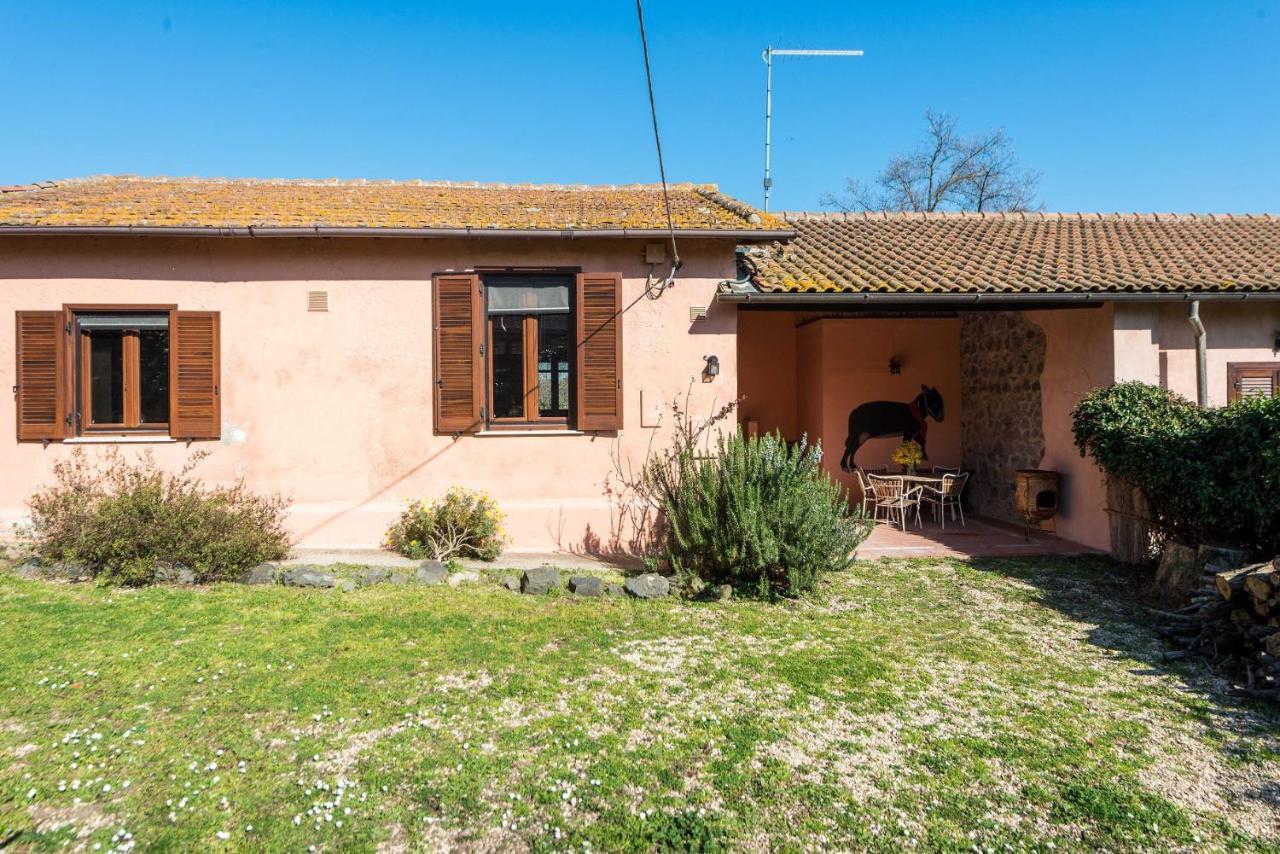 Il Castoro Di Martignano Villa Anguillara Sabazia Exteriör bild